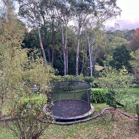 Yarra Ranges Country Apartment Mount Evelyn Εξωτερικό φωτογραφία