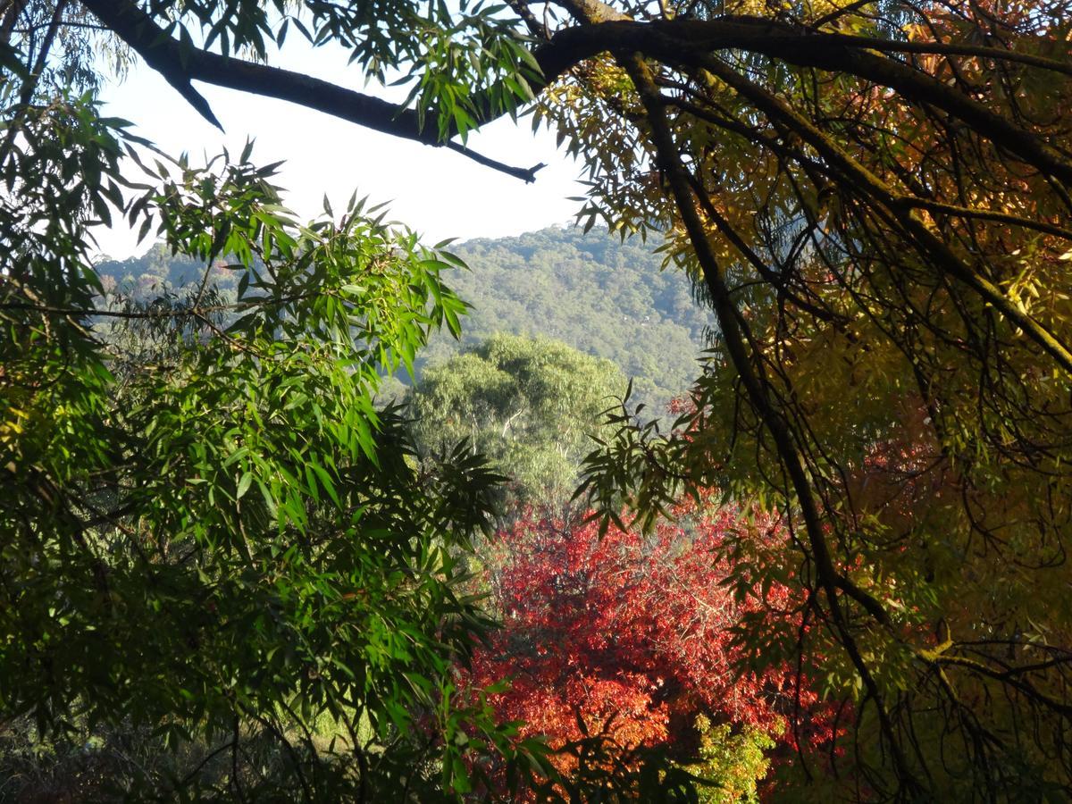 Yarra Ranges Country Apartment Mount Evelyn Εξωτερικό φωτογραφία